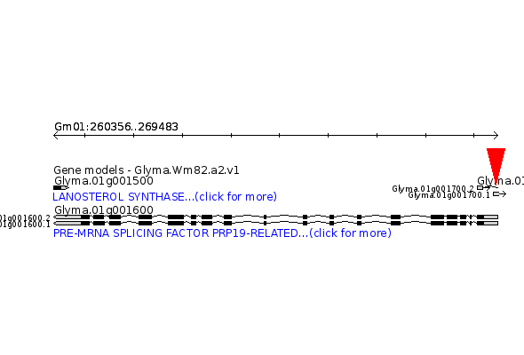 GLYMA.01G001600