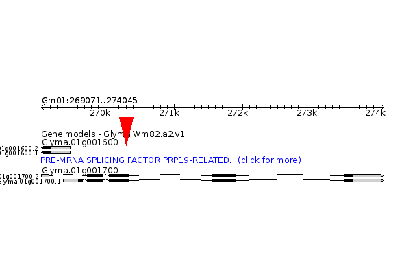 GLYMA.01G001700