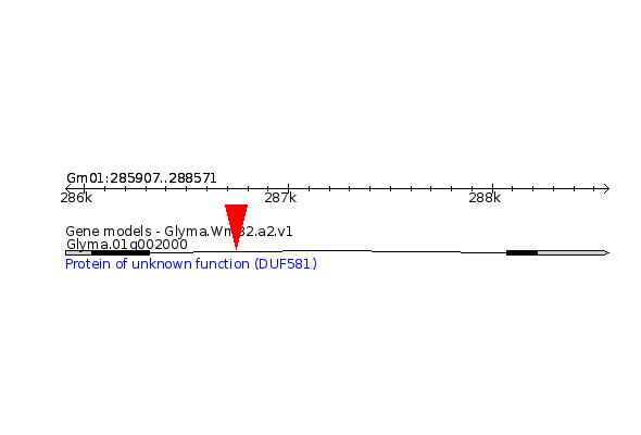 GLYMA.01G002000