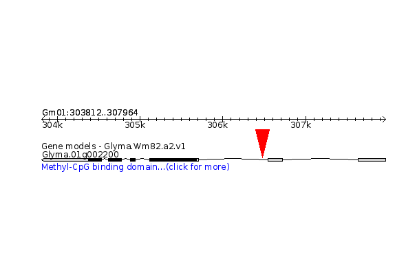 GLYMA.01G002200