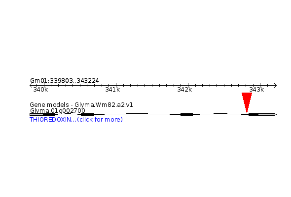 GLYMA.01G002700