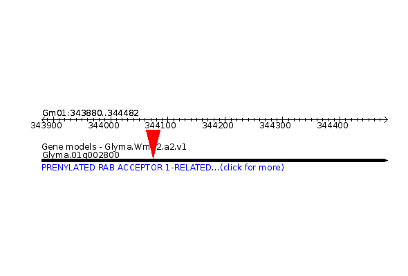 GLYMA.01G002800