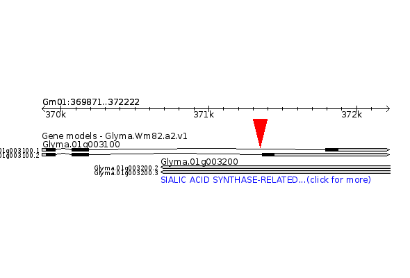 GLYMA.01G003100