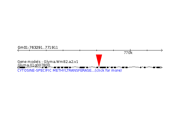 GLYMA.01G007800
