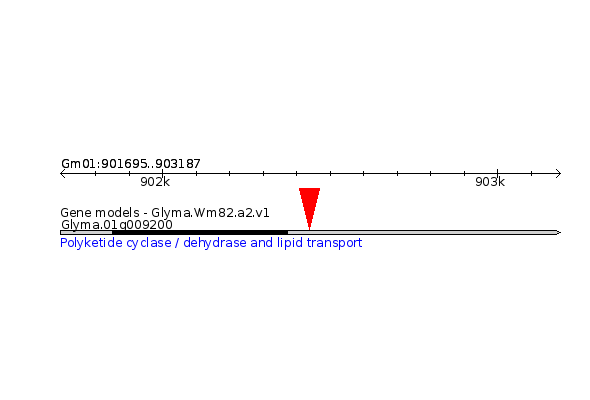 GLYMA.01G009200