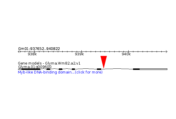 GLYMA.01G009600