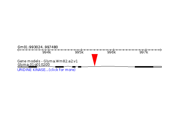 GLYMA.01G010200