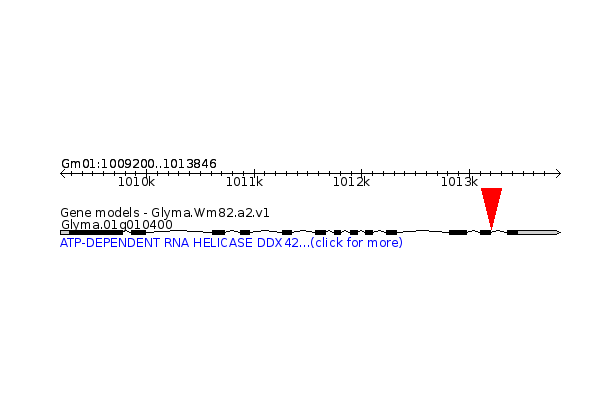 GLYMA.01G010400