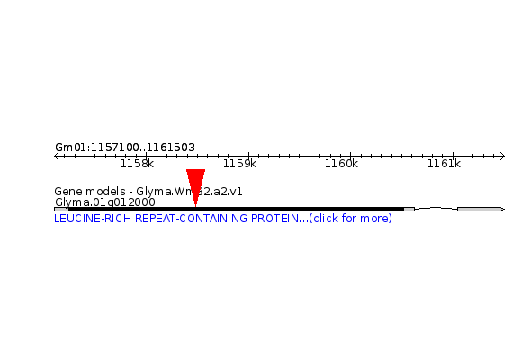 GLYMA.01G012000