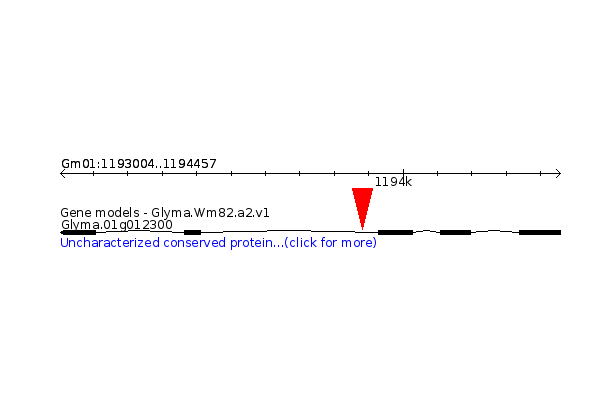 GLYMA.01G012300