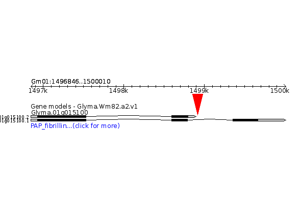 GLYMA.01G015100