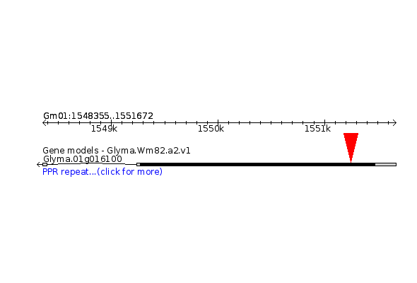 GLYMA.01G016100